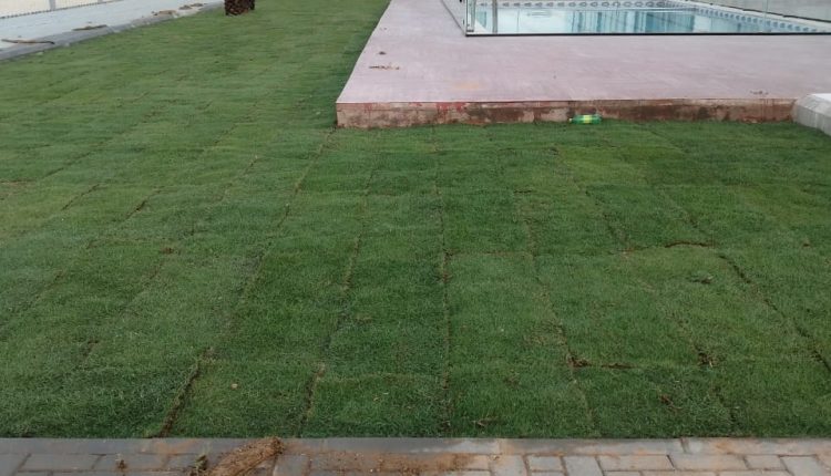 مؤسسة تيل طبيعي